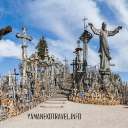 yamanekotravel.info