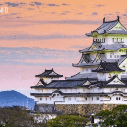 yamanekotravel.info
