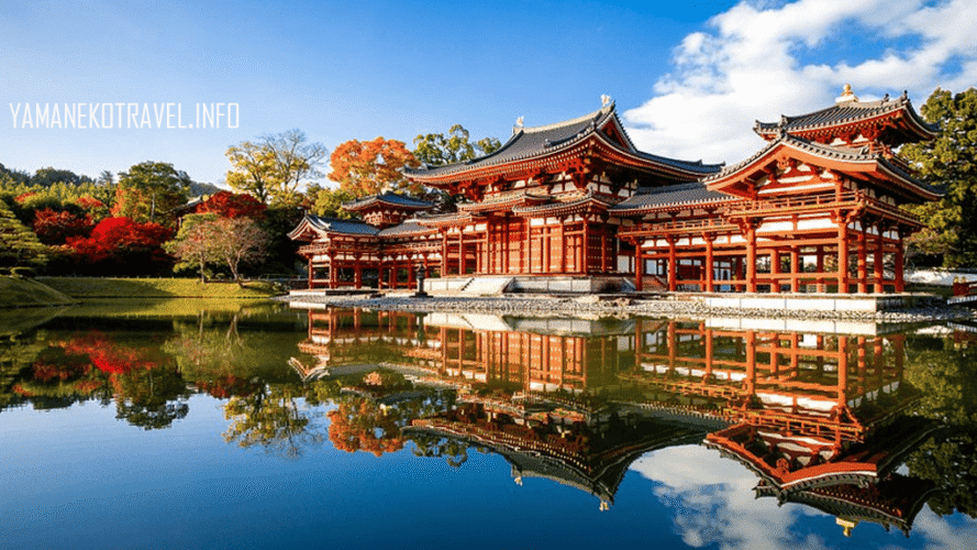yamanekotravel.info