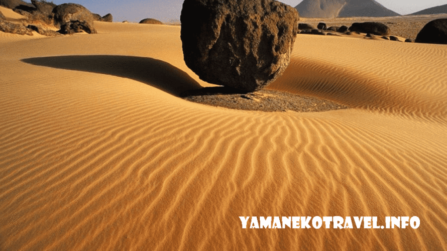 yamanekotravel