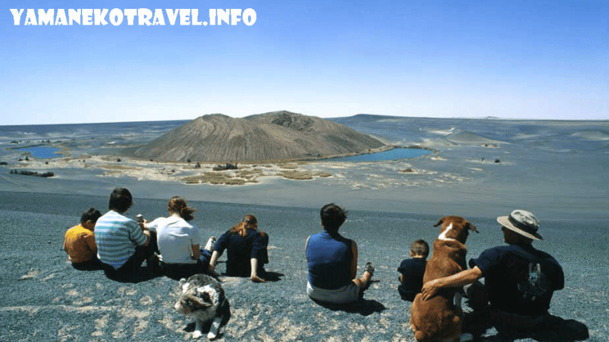 yamanekotravel