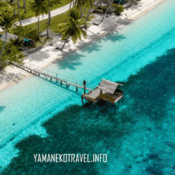 yamanekotravel.info