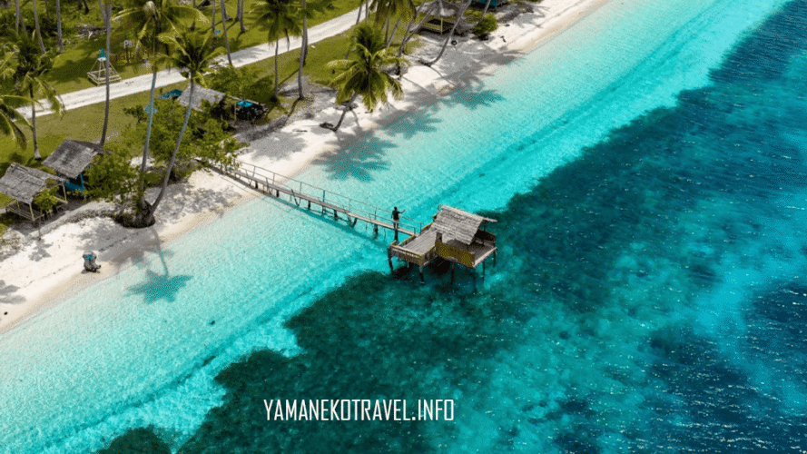 yamanekotravel.info
