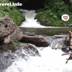 yamanekotravel
