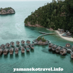 yamanekotravel