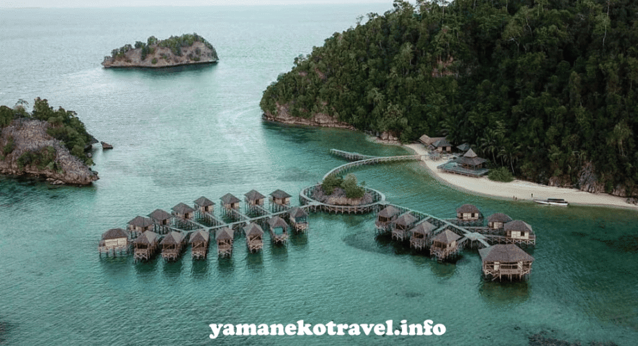 yamanekotravel