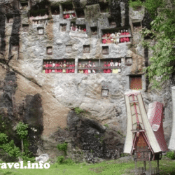 yamanekotravel