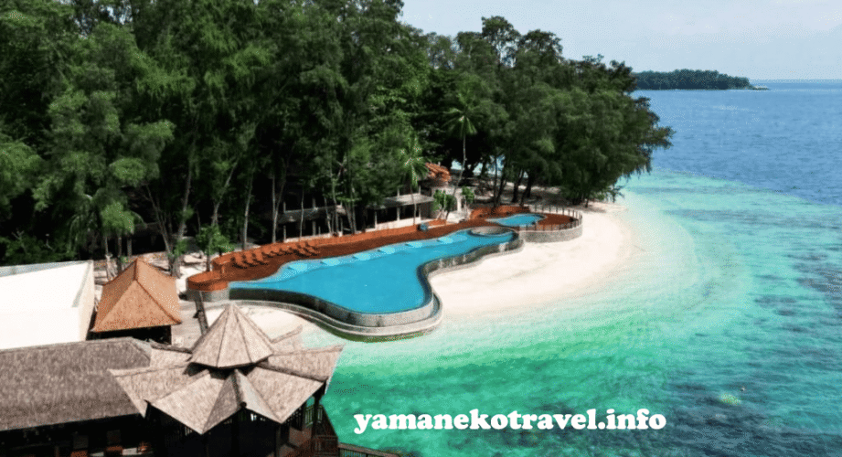 yamanekotravel