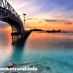 yamanekotravel