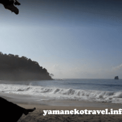 yamanekotravel