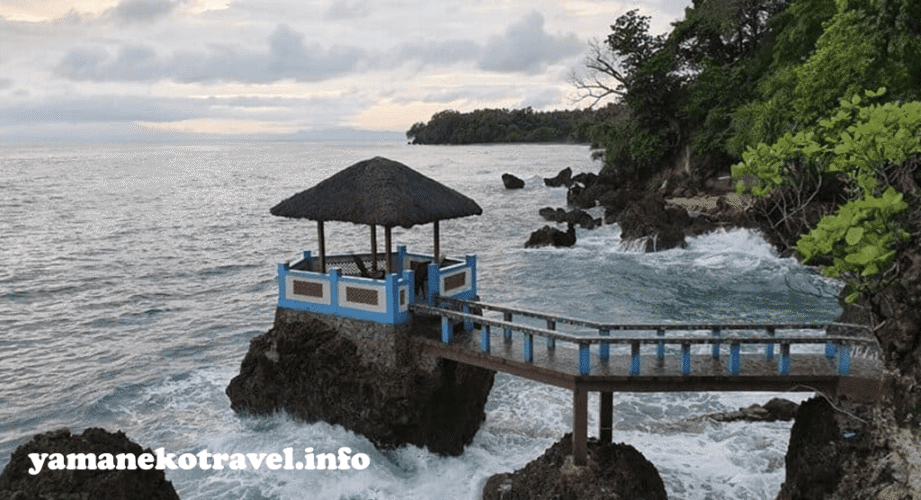 yamanekotravel