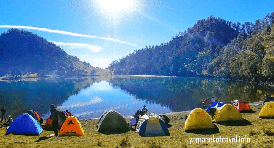 yamanekotravel