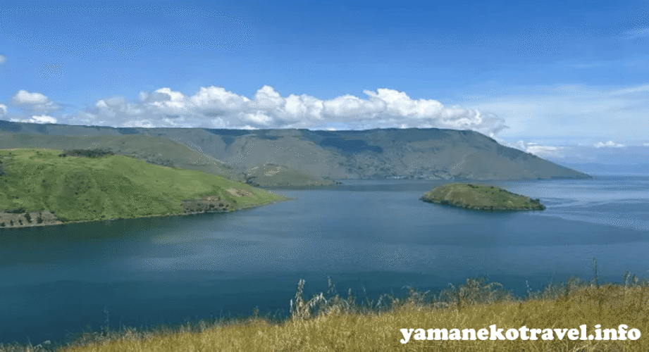 yamanekotravel