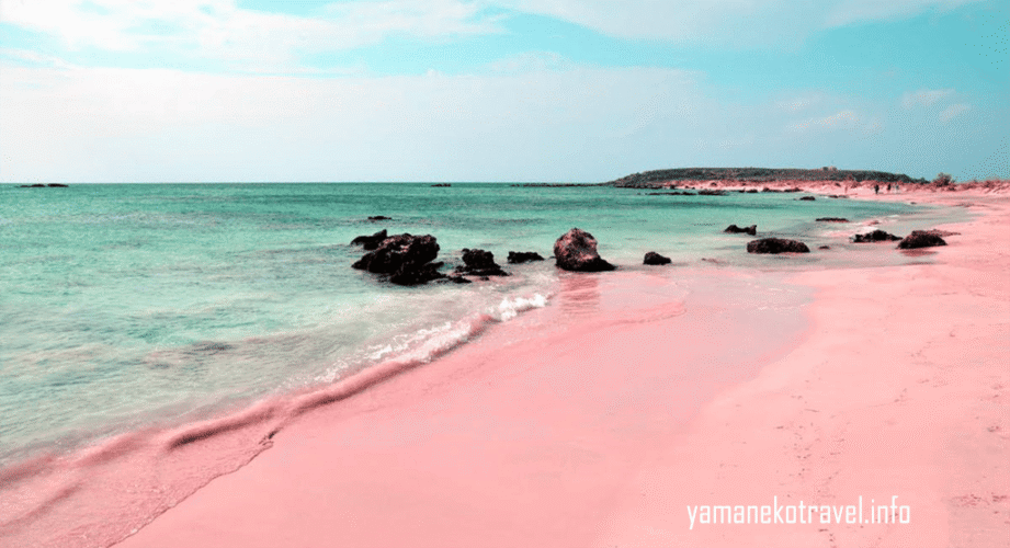 yamanekotravel