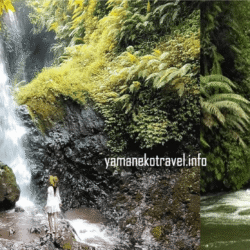 yamanekotravel