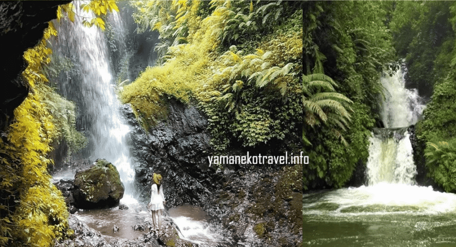 yamanekotravel