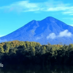 yamanekotravel