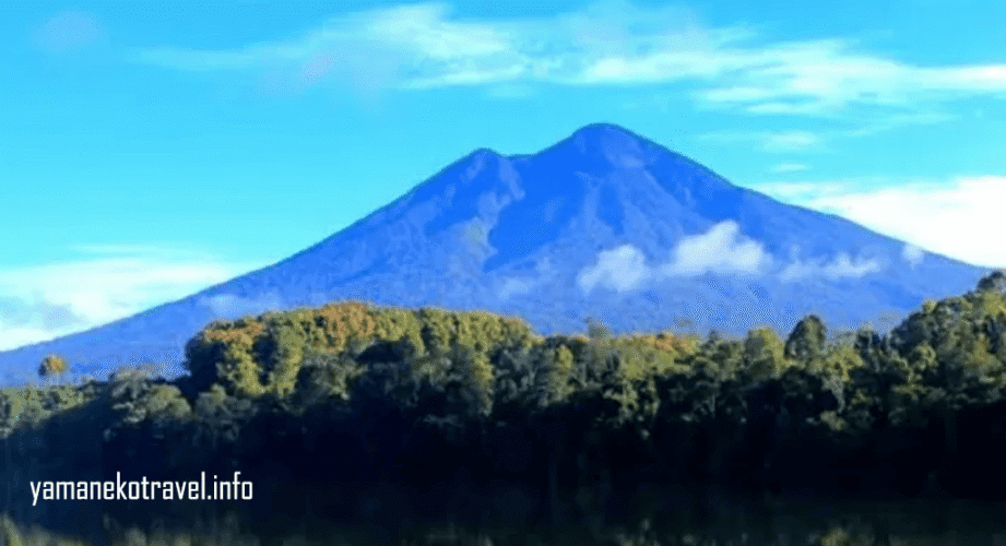 yamanekotravel