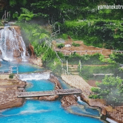 yamanekotravel
