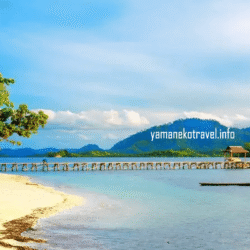 yamanekotravel
