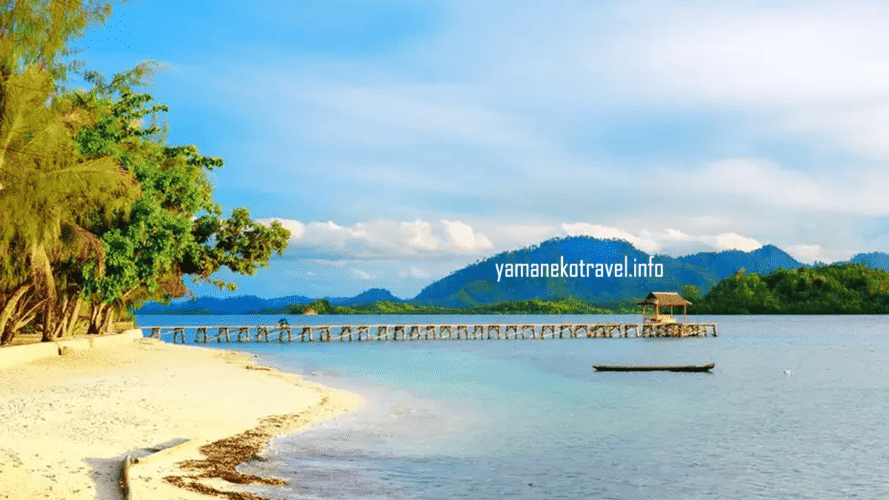 yamanekotravel