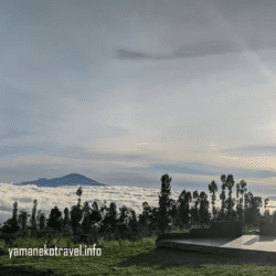 yamanekotravel