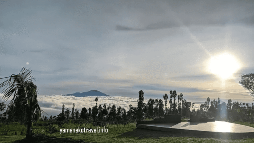 yamanekotravel