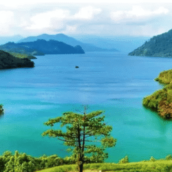 yamanekotravel