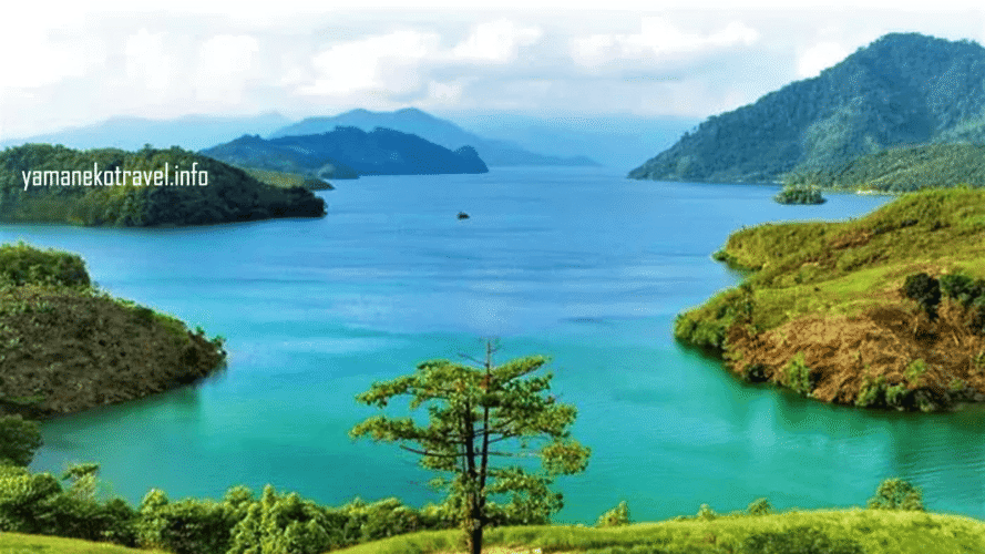 yamanekotravel