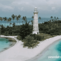 yamanekotravel