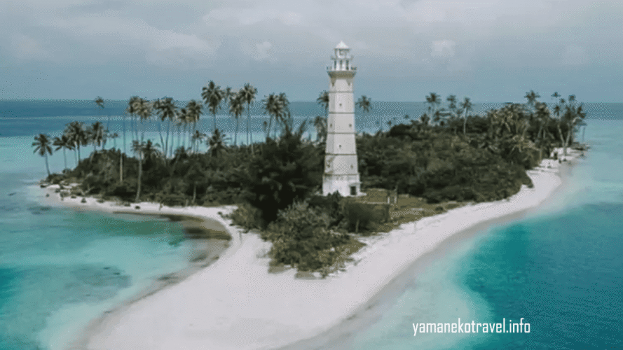 yamanekotravel